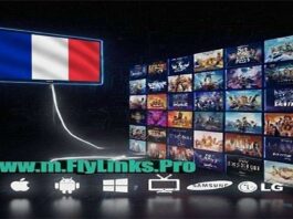 Free IPTV France