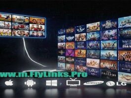 Free Popular Single Stream SPORTS 2025