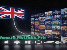 What is a Public IPTV Playlist?